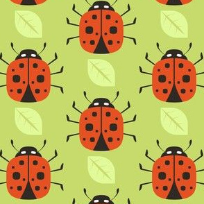 Ladybirds / Ladybugs