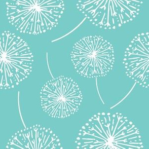 Dandelion clocks white on turquoise (large)