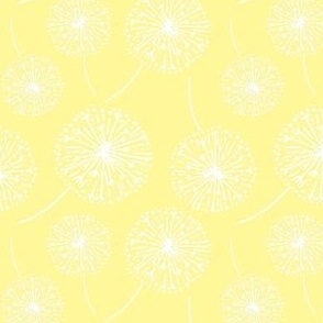 Dandelion clocks white on yellow (medium)