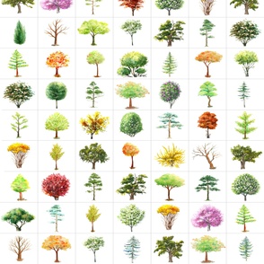 Trees