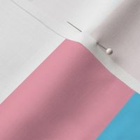 Transgender Large Horizontal Stripes