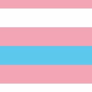 Transgender Medium Horizontal Stripes