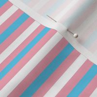 Transgender Mini Horizontal  Stripes