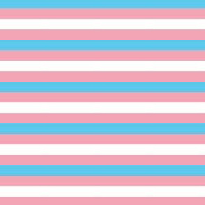Transgender Mini Horizontal  Stripes