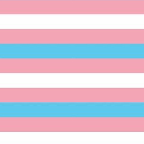 Transgender Small Horizontal Stripes