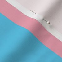 Transgender Large Vertical Stripes