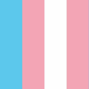 Transgender Large Vertical Stripes