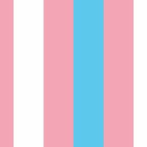 Transgender Medium Vertical Stripes
