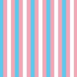 Transgender Mini Vertical Stripes