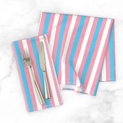 Transgender Small Vertical Stripes