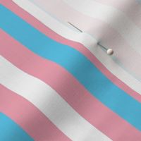Transgender Small Vertical Stripes