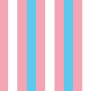 Transgender Small Vertical Stripes