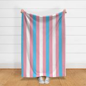 Transgender X-Large Vertical Stripes