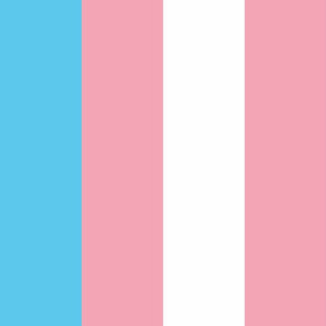 Transgender X-Large Vertical Stripes