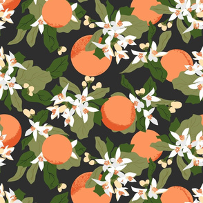 Oranges and Orange Blossoms Dusty Black