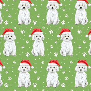 Christmas Maltese Dogs on fern green - medium scale
