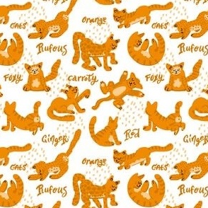  Orange Cats