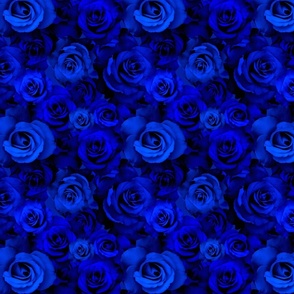 A Bed of Blue Roses 