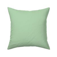 Wild aromatherapy solid light green