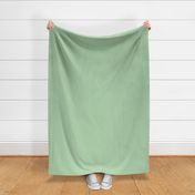 Wild aromatherapy solid light green