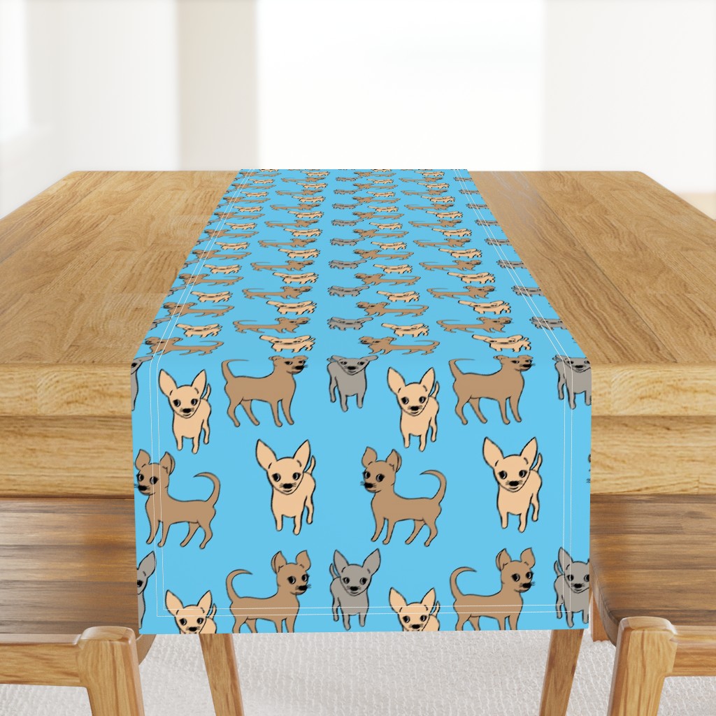 Chihuahua chihuahuas turquoise (large)