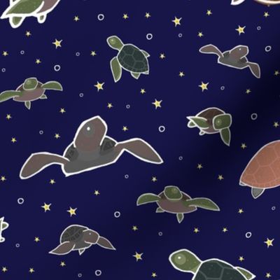 Sea Turtles at Night