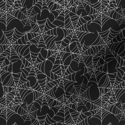 White Spider Web on Black|Renee Davis