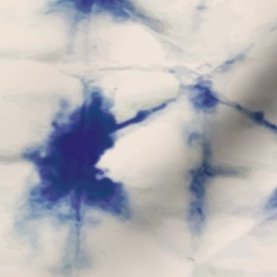 Indigo Tie Dyed Shibori Batik - Design 10280205