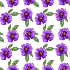 Violets