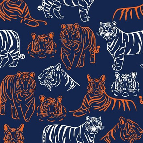 Navy and Orange Team Color Tigers 5