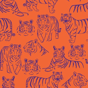 Orange and Purple Team color Tigers 2