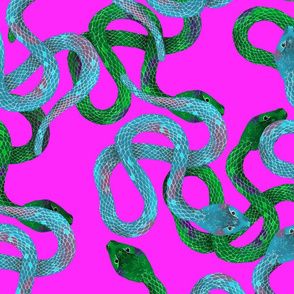 Pile of Blue and Green Snakes on Magenta