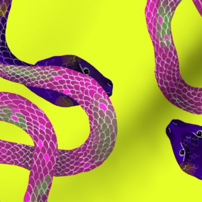 Pile of Pink and Purple Snakes on Yellow