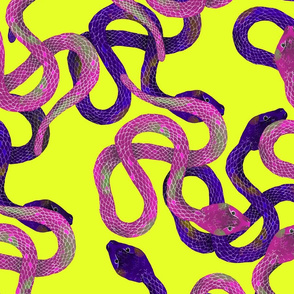 Pile of Pink and Purple Snakes on Yellow