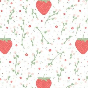 Strawberries and Plants - Summer Strawberries Colelction