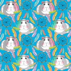 medium guinea pigs and dreamcatchers on blue