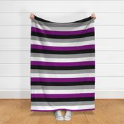 Asexual Large Horizontal Stripes