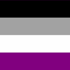 Asexual Large Horizontal Stripes