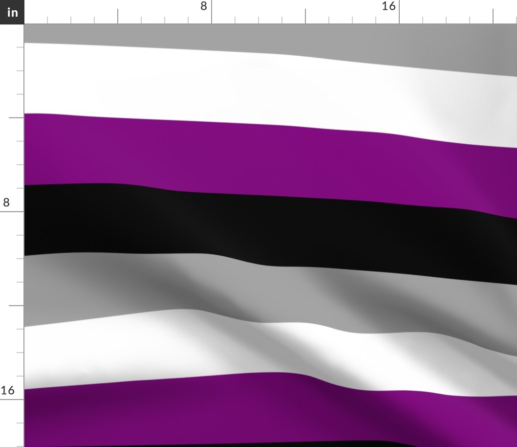 Asexual Large Horizontal Stripes
