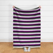 Asexual Medium Horizontal Stripes