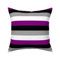 Asexual Medium Horizontal Stripes