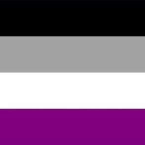 Asexual Medium Horizontal Stripes