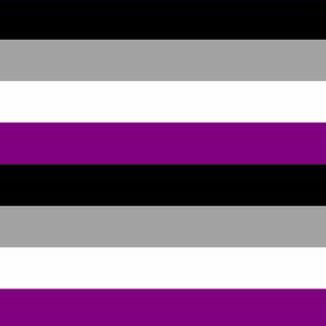 Asexual Small Horizontal Stripes
