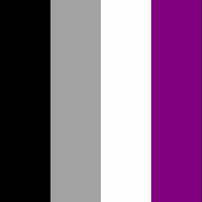 Asexual Large Vertical Stripes
