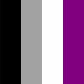 Asexual Medium Vertical Stripes