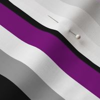 Asexual Small Vertical Stripes