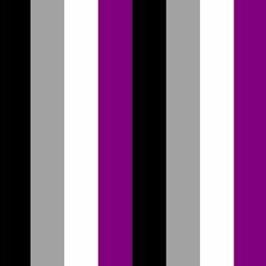 Asexual Small Vertical Stripes