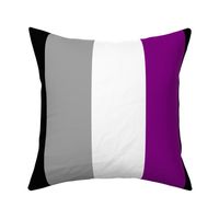 Asexual X-Large Vertical Stripes