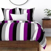 Asexual X-Large Vertical Stripes