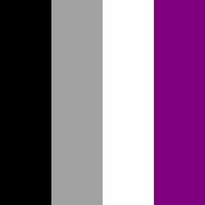 Asexual X-Large Vertical Stripes